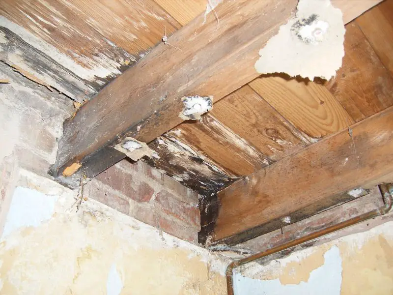 how-to-replace-rotten-floor-joists-and-insulate-a-suspended-wooden