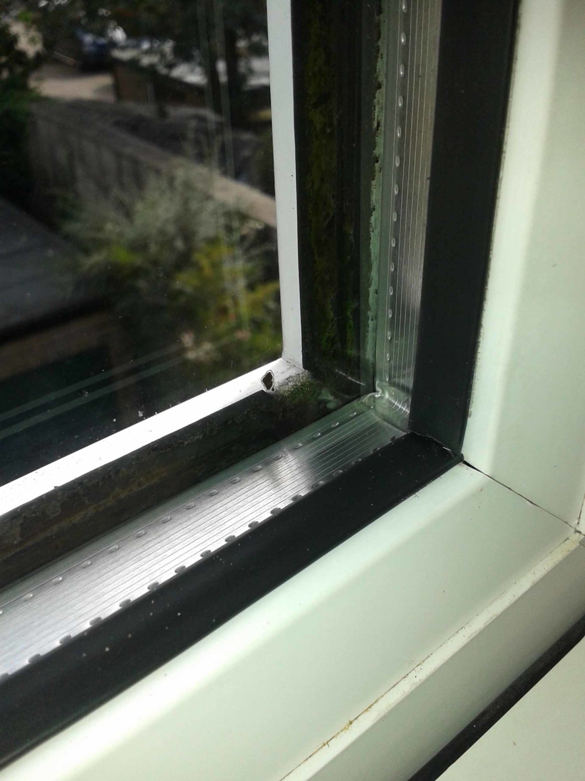 Replacing sealed units and outside seals on uPVC windows