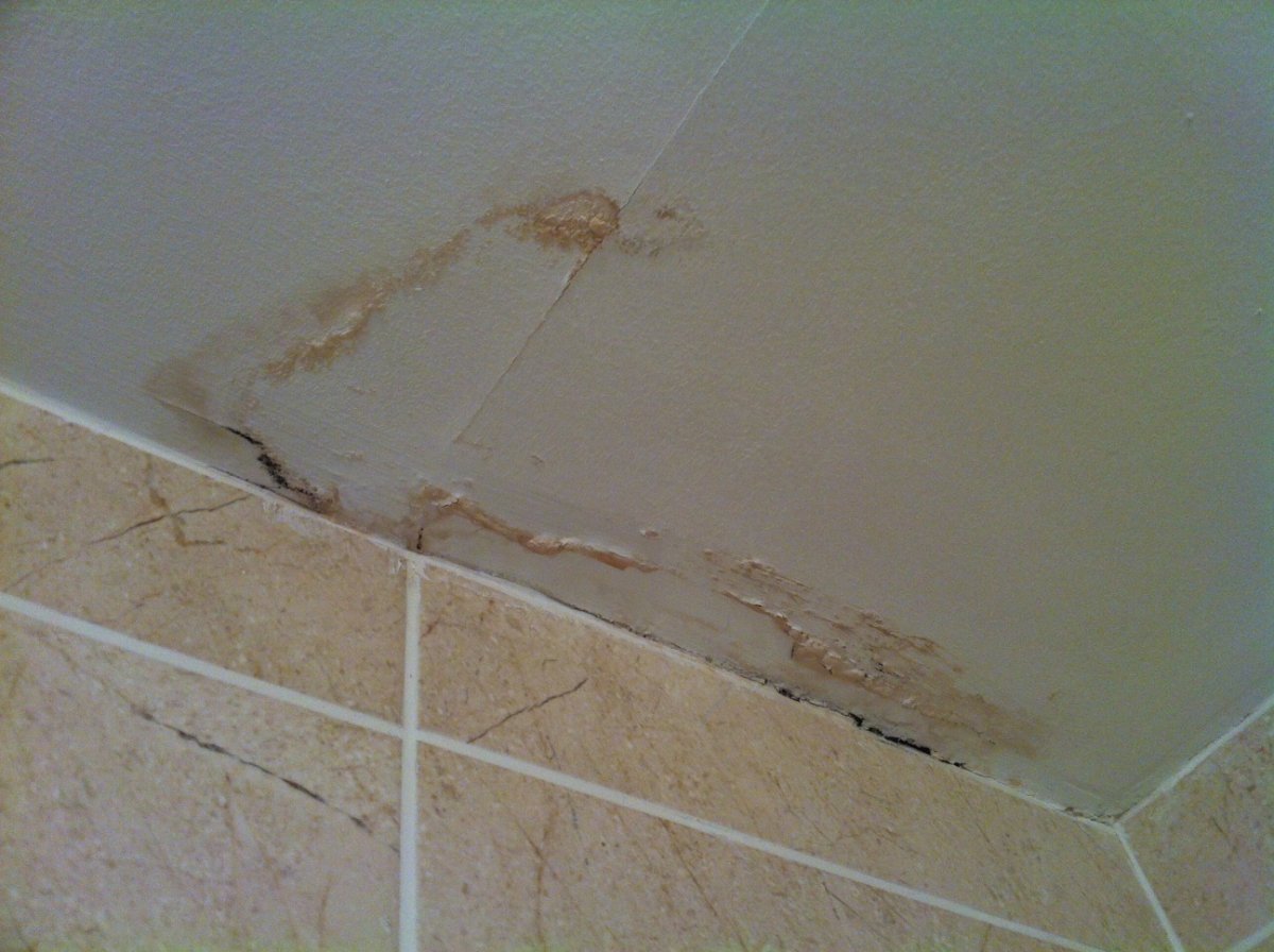 Ceiling Dark Spots Possible Leak Diynot Forums