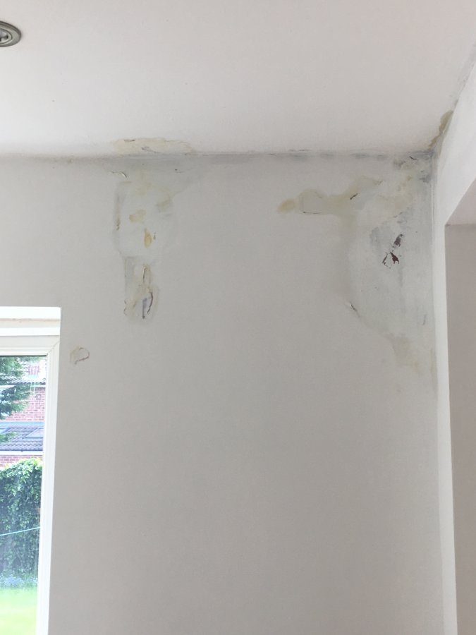 Damp Patch On Newly Skimmed Wall Diynot Forums