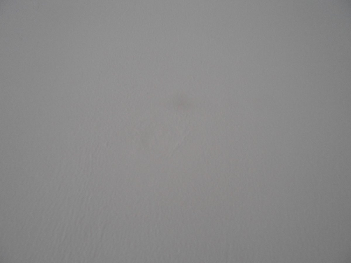 Greasy Looking Patches Appearing Through Emulsioned Paint Diynot Forums