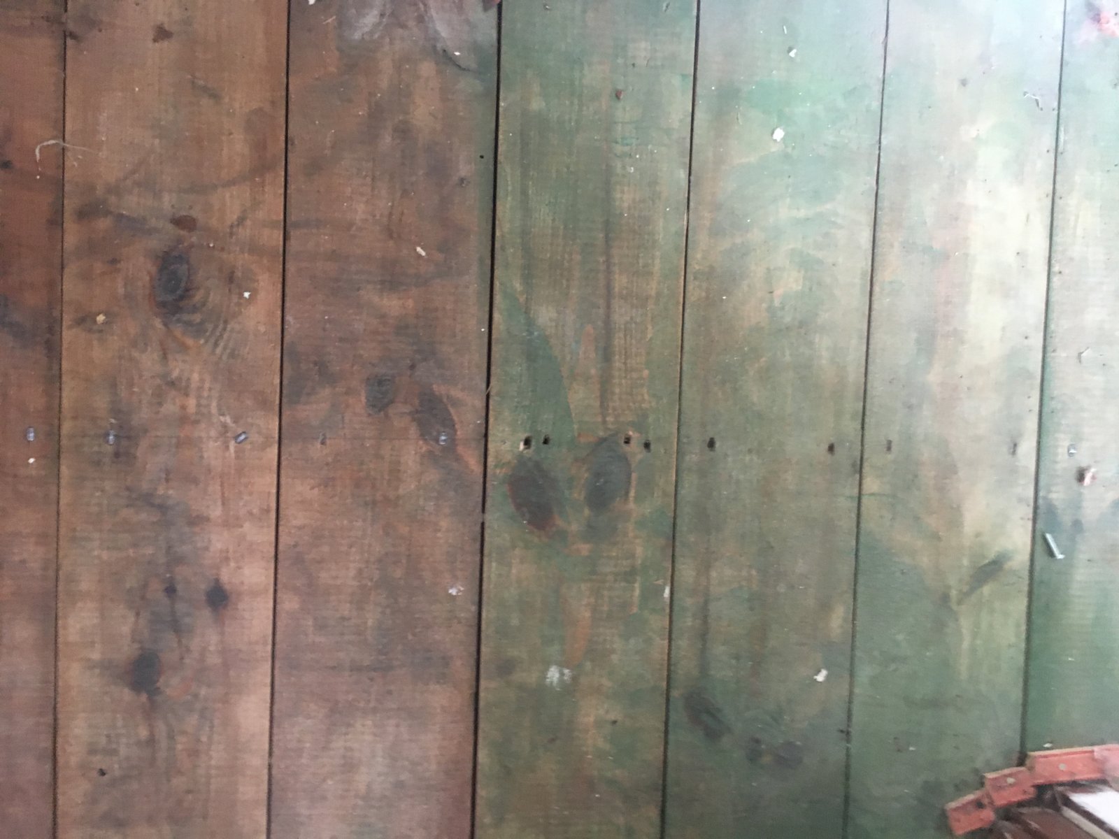 why-are-my-floorboards-green-diynot-forums