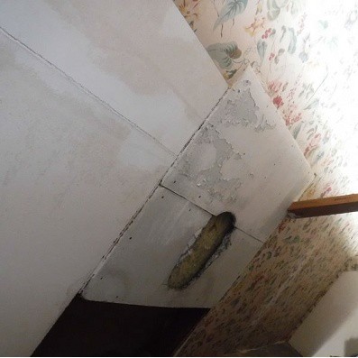 Asbestos Attic Ceiling Panels Diynot Forums