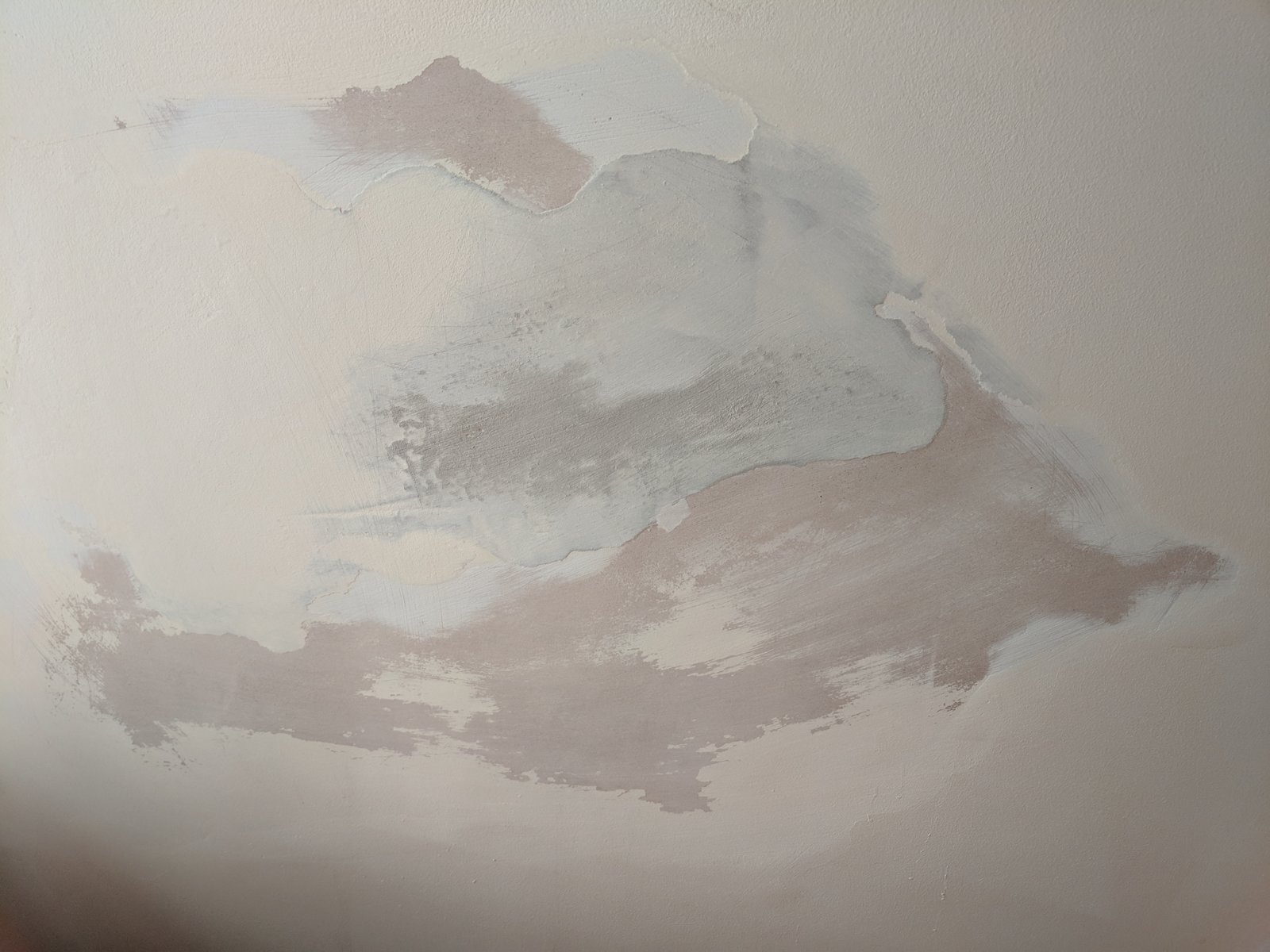 Can You Paint Over Damp Plaster