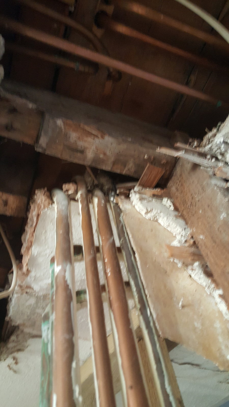 Removing part of joist for steels to fit | DIYnot Forums