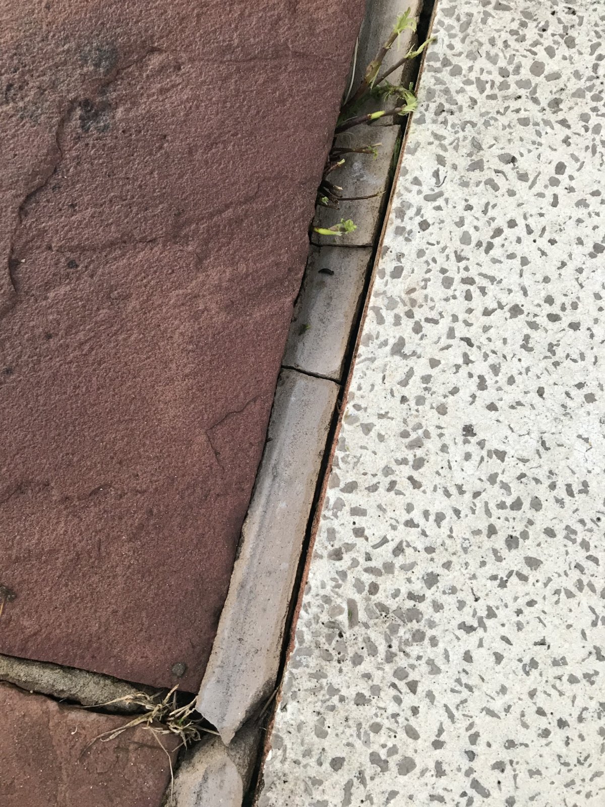 Filling cracked patio gaps | DIYnot Forums