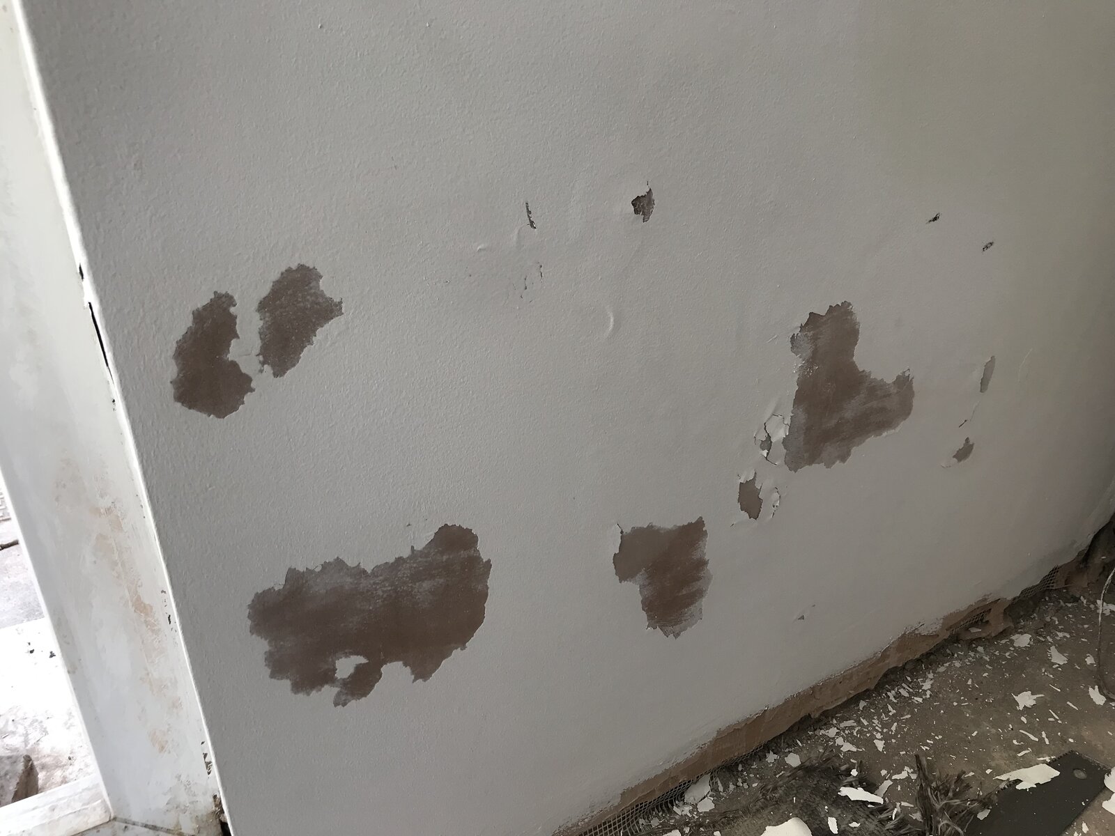 new-plaster-but-damp-issue-which-paint-to-use-diynot-forums