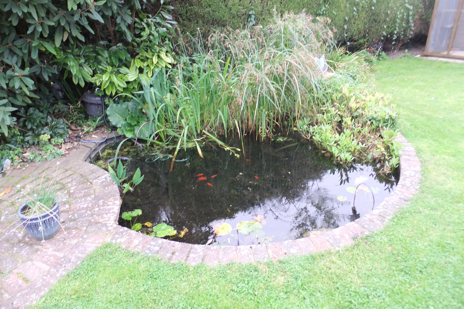 Heron and Pond ! | DIYnot Forums