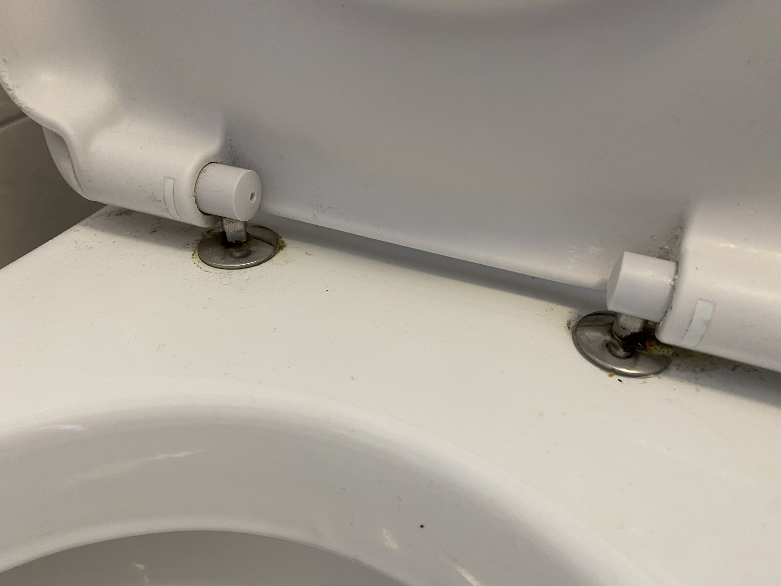 How do I remove this toilet seat?! | DIYnot Forums
