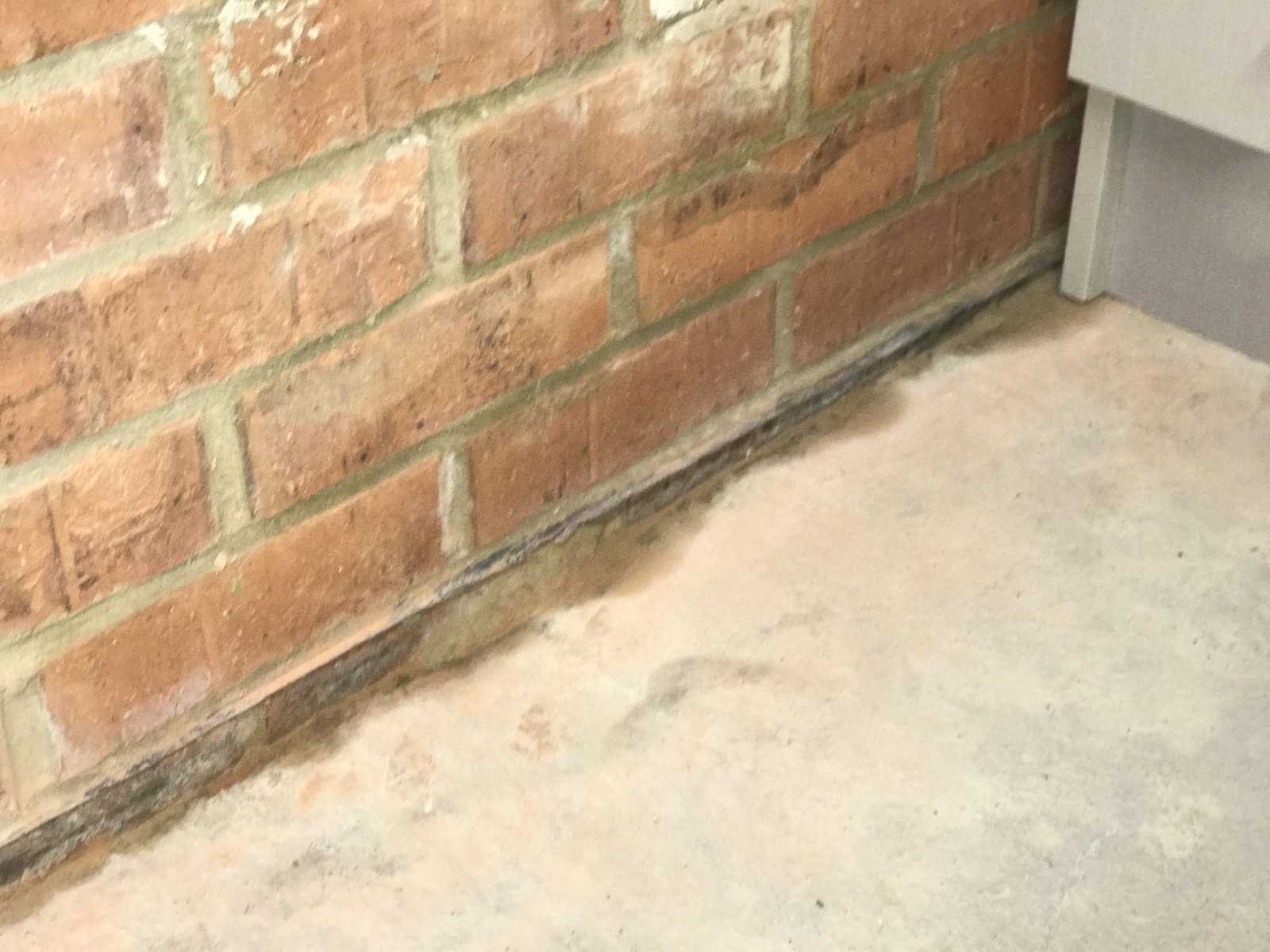 Damp Garage Floor Flooring Tips