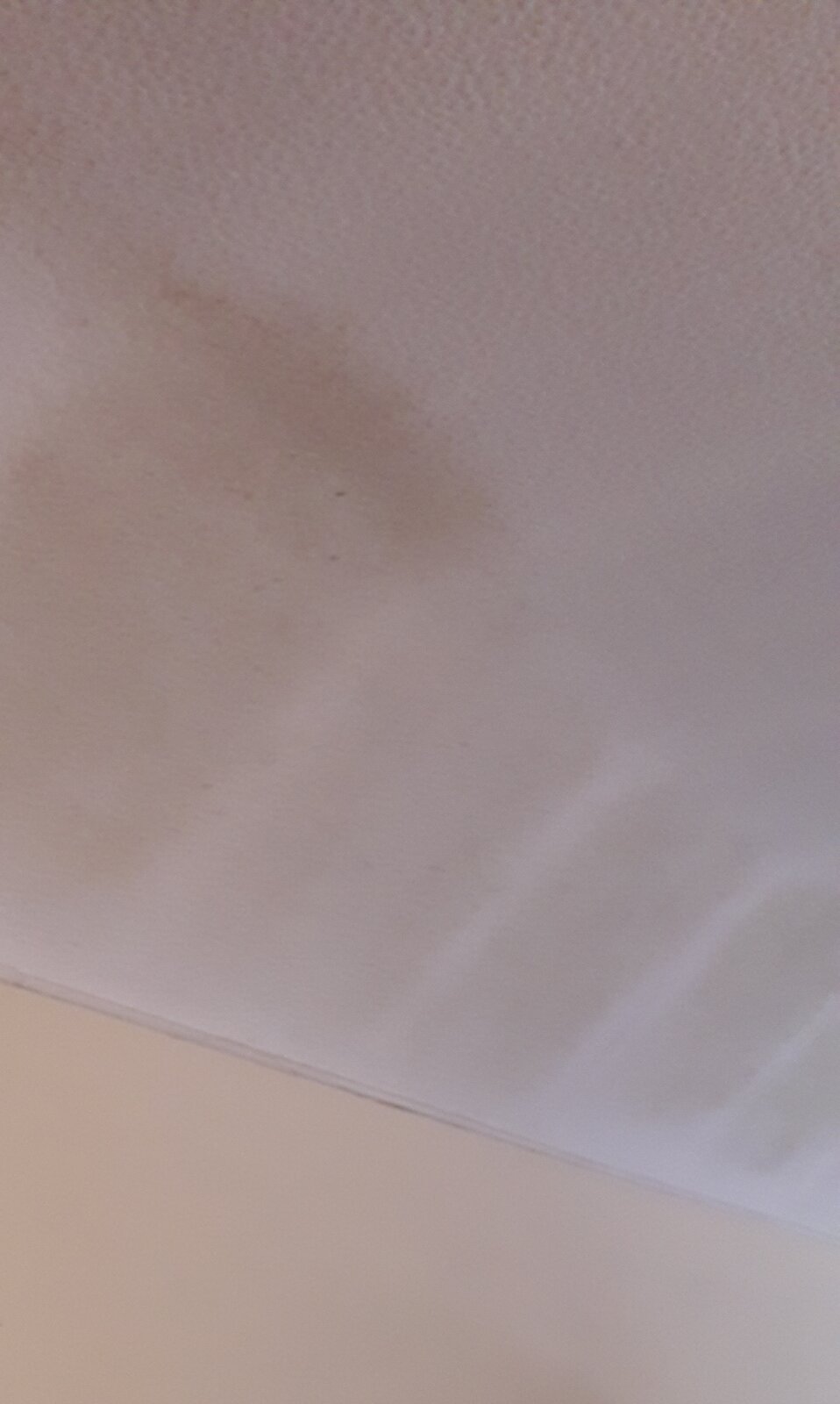 Coved ceiling square mould patches.jpg