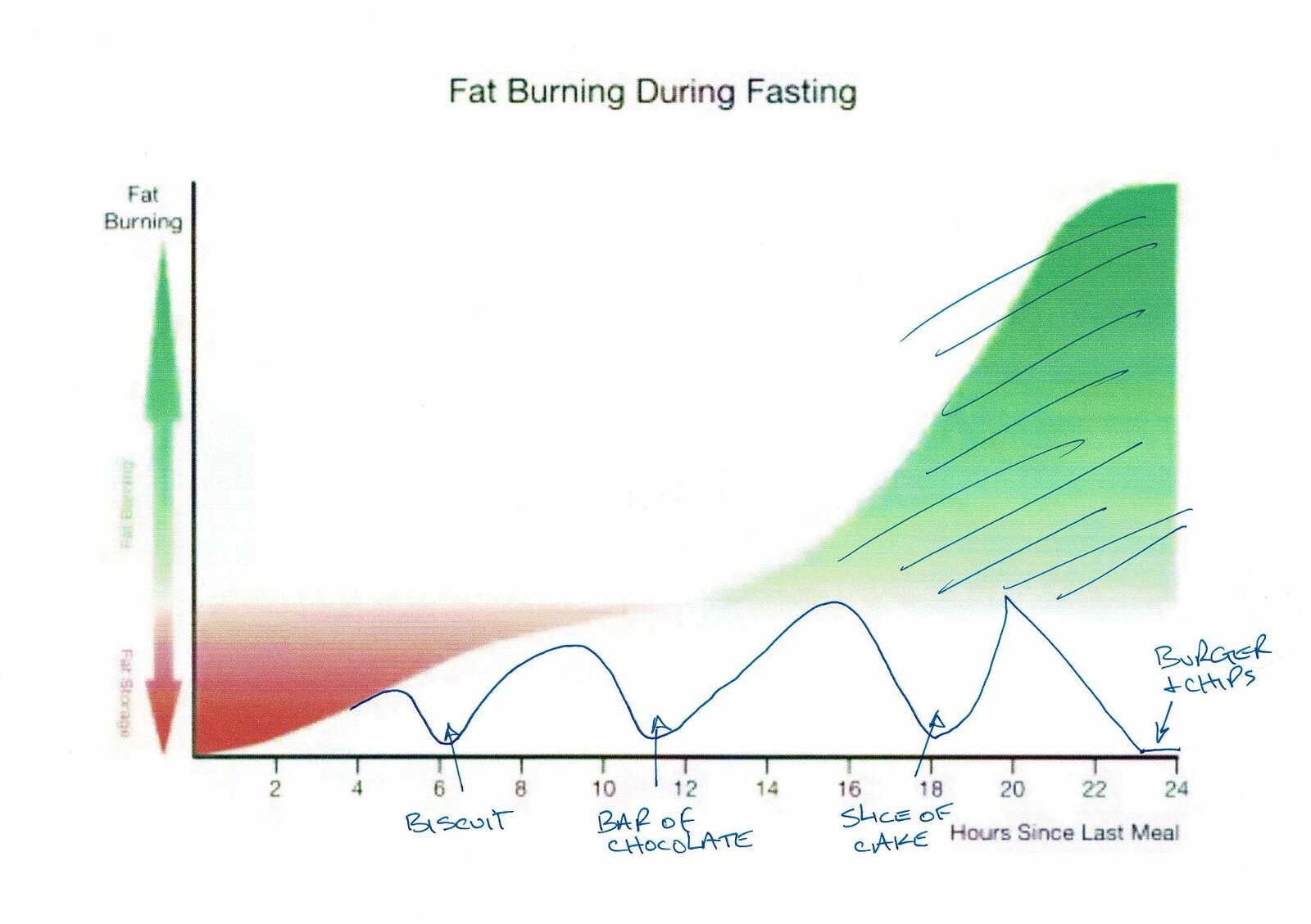 Fat Burning3.jpg