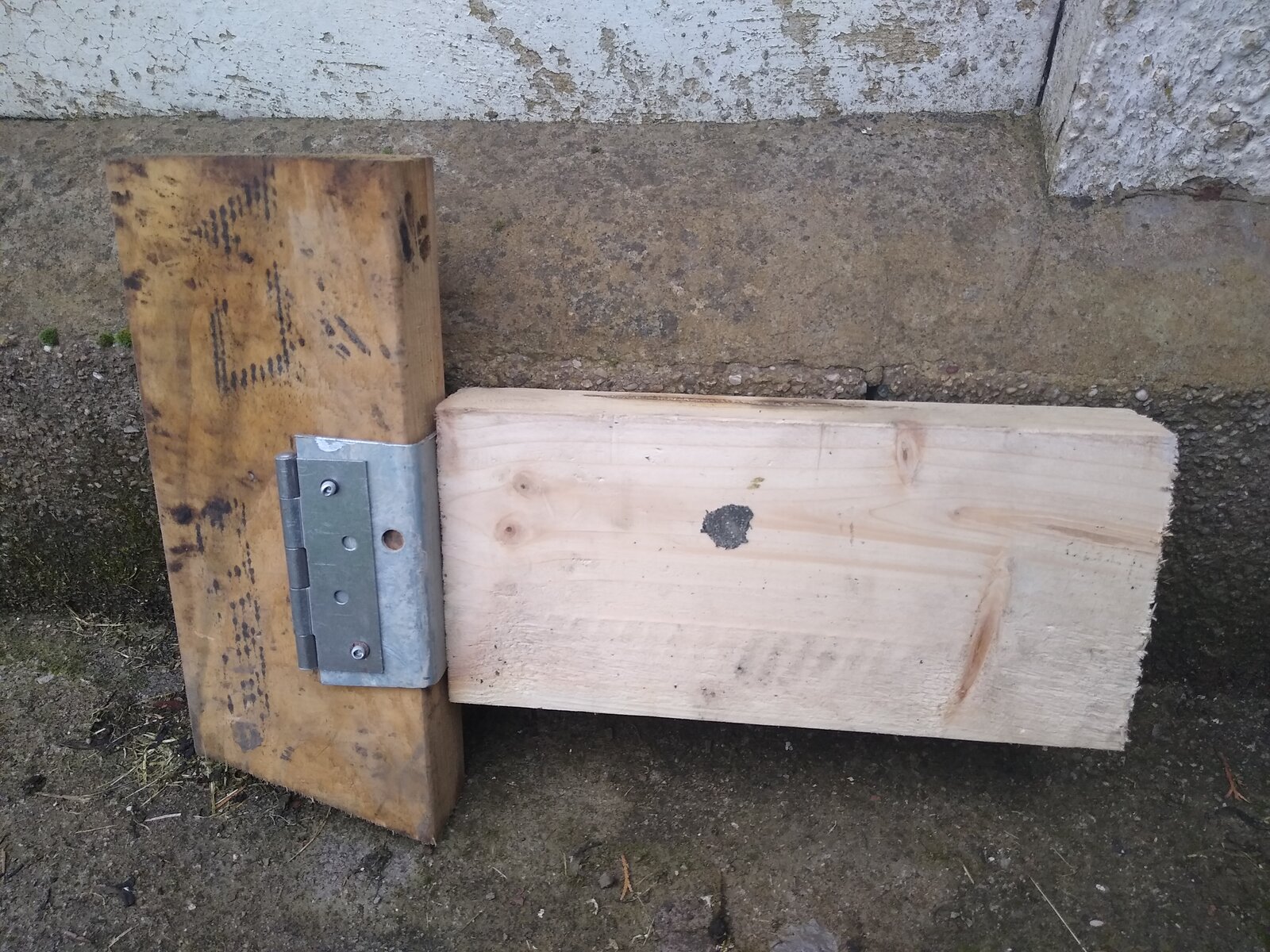 Do these hinges exist? | DIYnot Forums