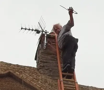 loony on  a ladder.jpg