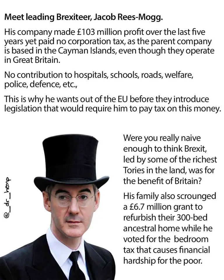 MoggDodger.jpg