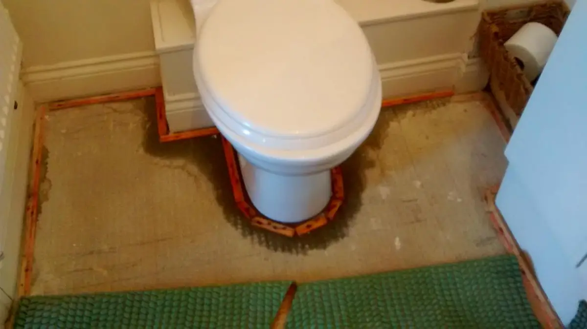 Did I Flood My Own Toilet DIYnot Forums