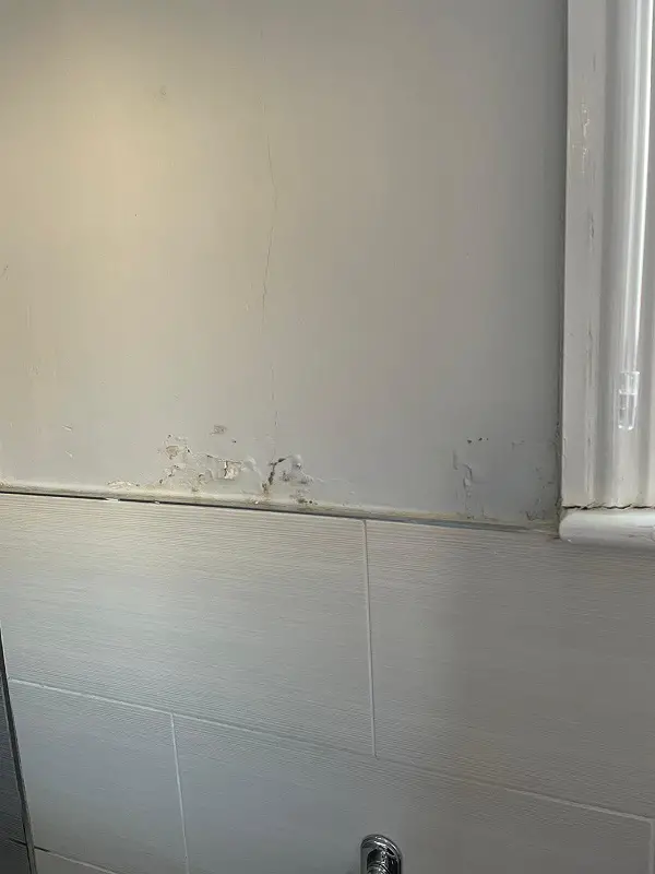 Wall crack damage of concern? | DIYnot Forums