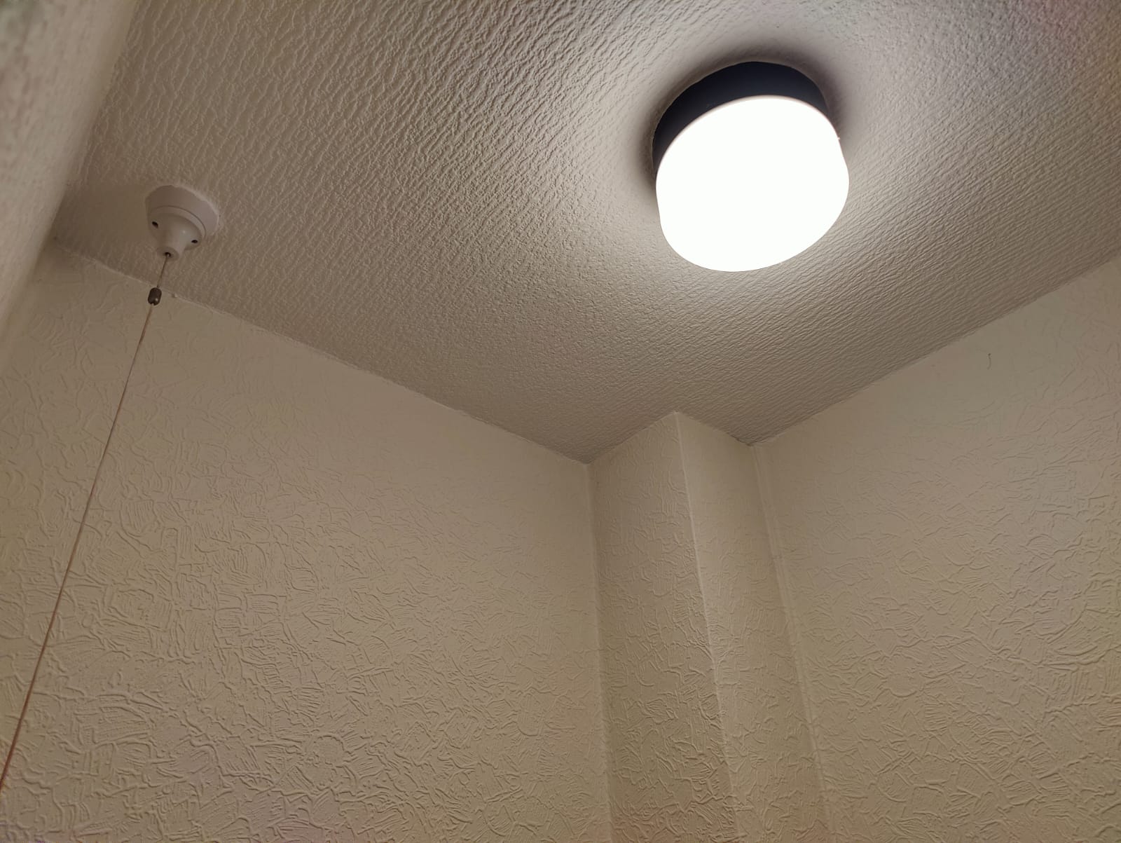 WC ceiling.jpeg