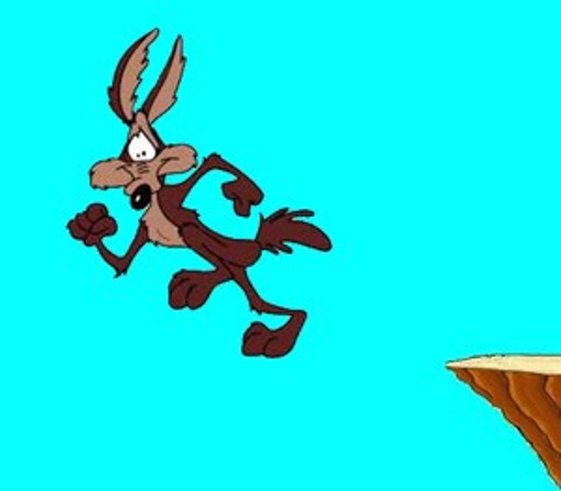 wile-e-coyote-2.jpg