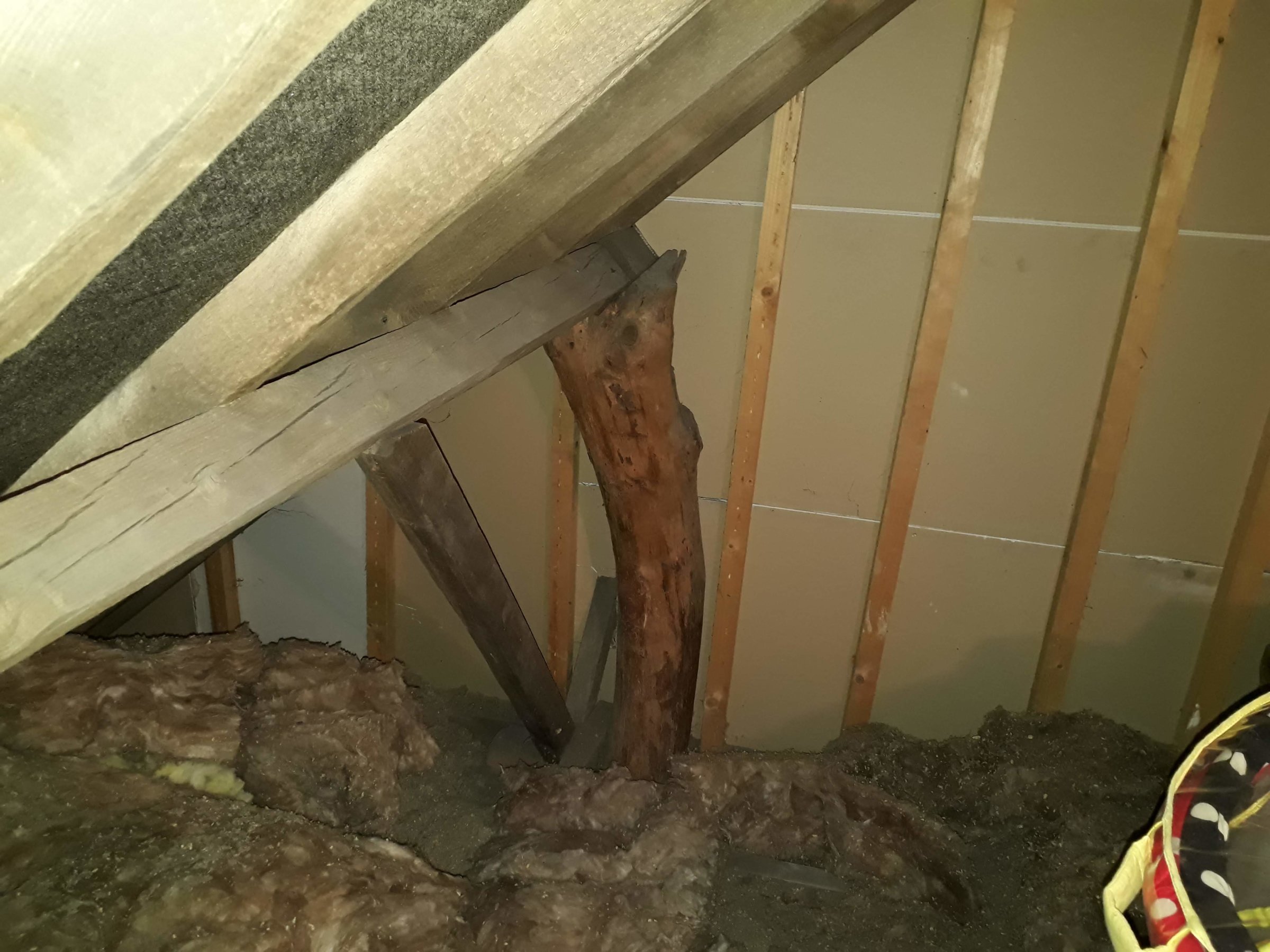 Rafter Braced Joist Strengthening Diynot Forums