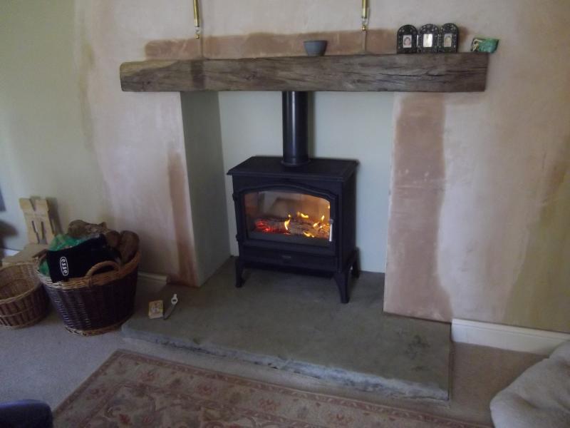 Esse log burner