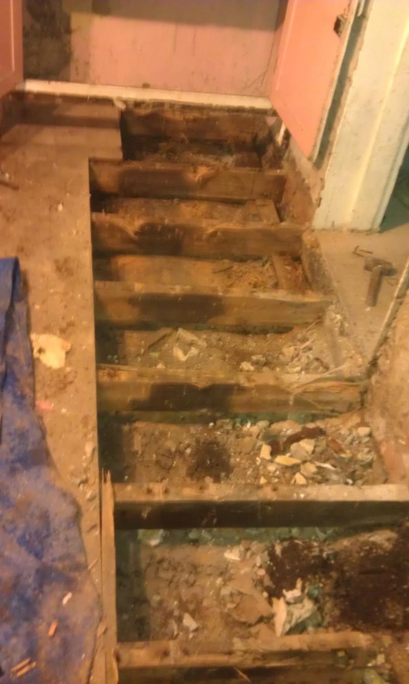 floor timber suspended repair diy under diynot
