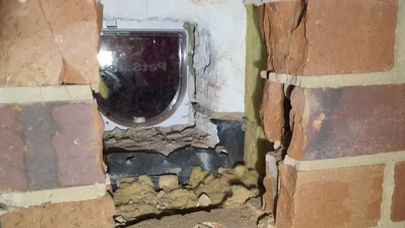 Cat Flap Through Cavity Wall 2024 levitan