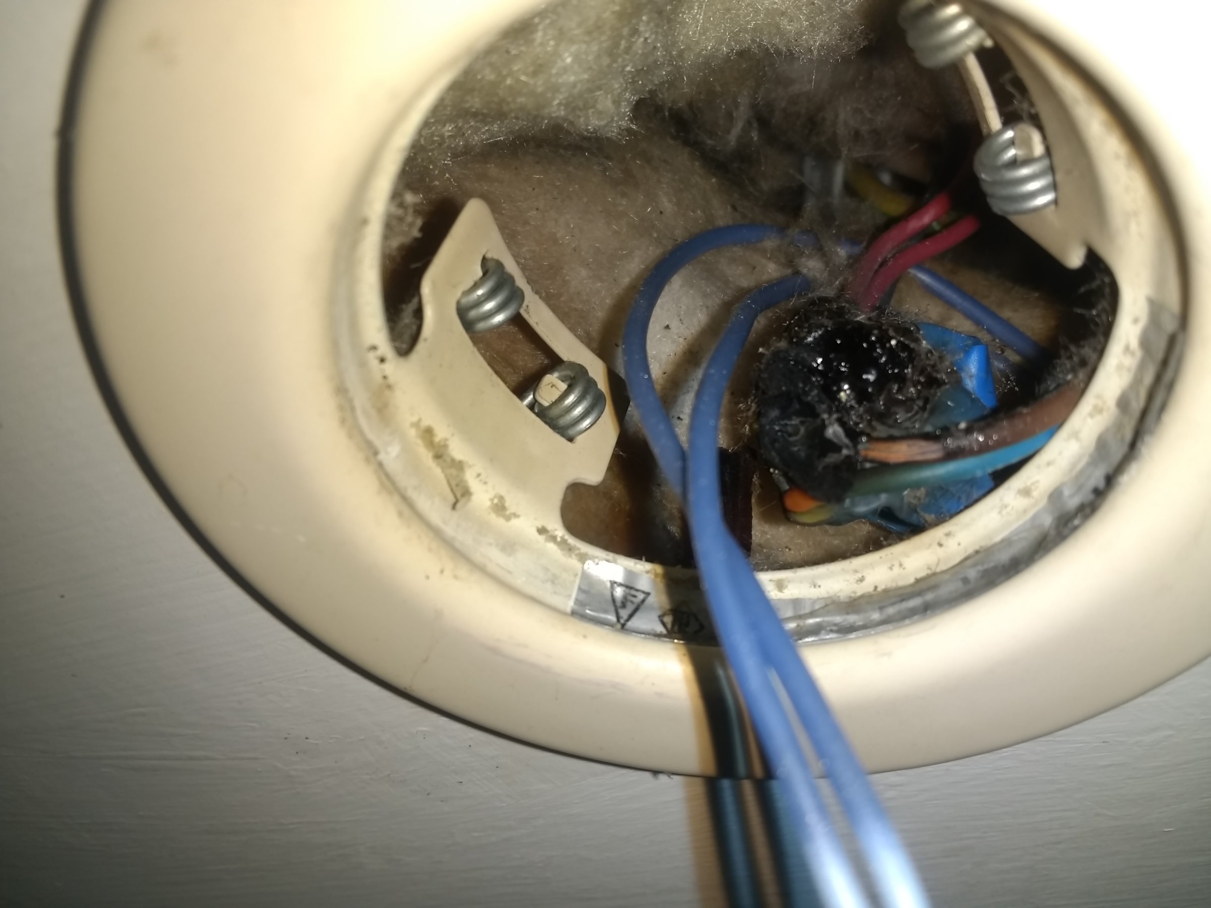 Exposed Wires - Downlight 