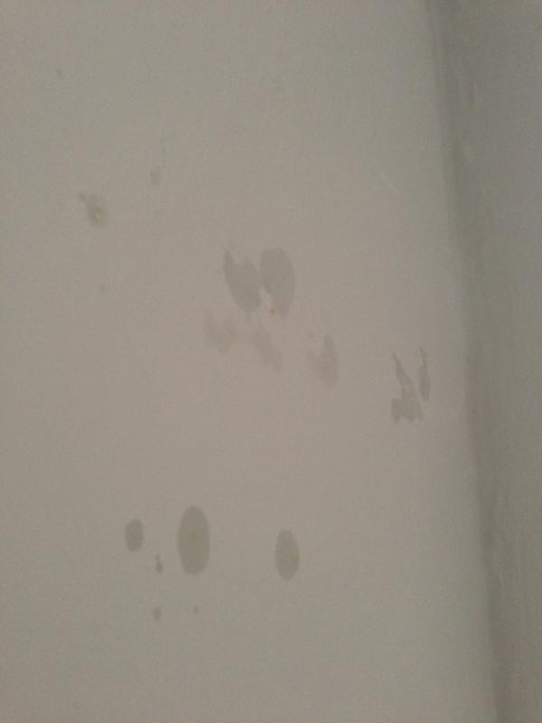 Damp Spots On Upstairs Chimney Breast Please Help