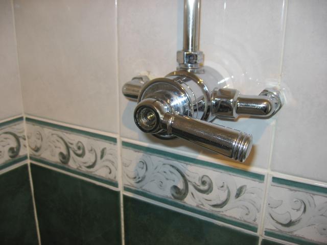 Shower controls