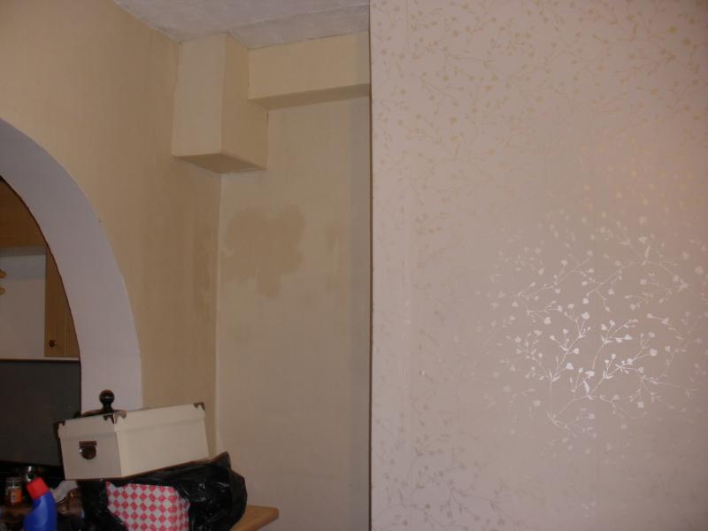 Help Damp Patches Downstairs Damp Or Roof Leak Or Both