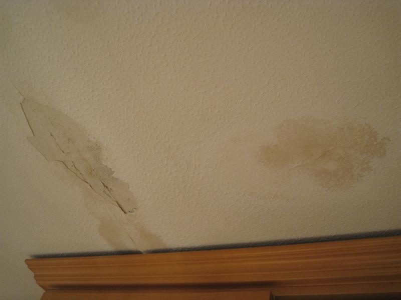 Help With Repair To Ceiling Leak Stain Diynot Forums