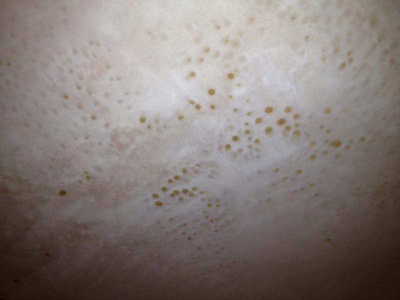 Strange Spots On Ceiling After Plastering Diynot Forums