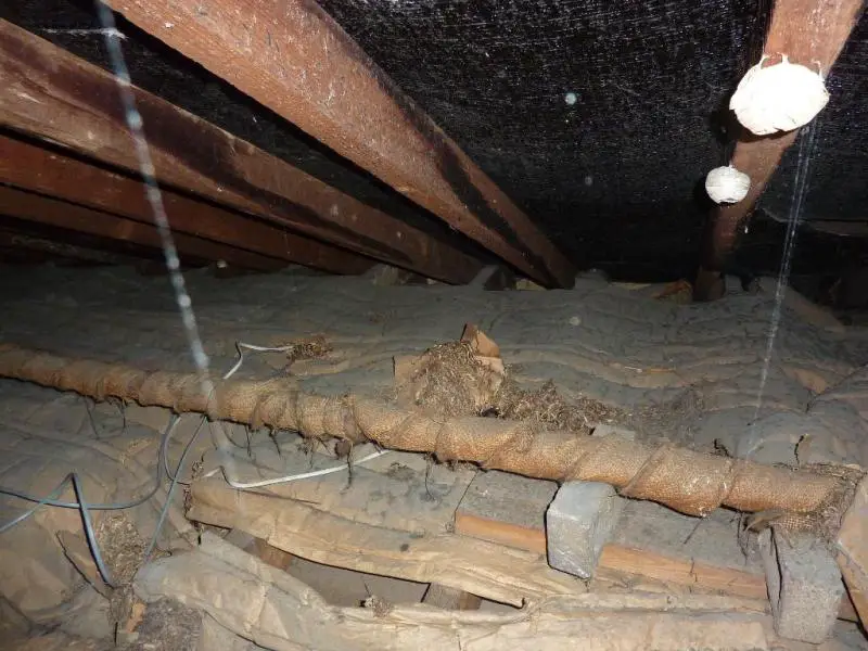 Can you tell me what kind of weird loft insulation this is? | DIYnot Forums