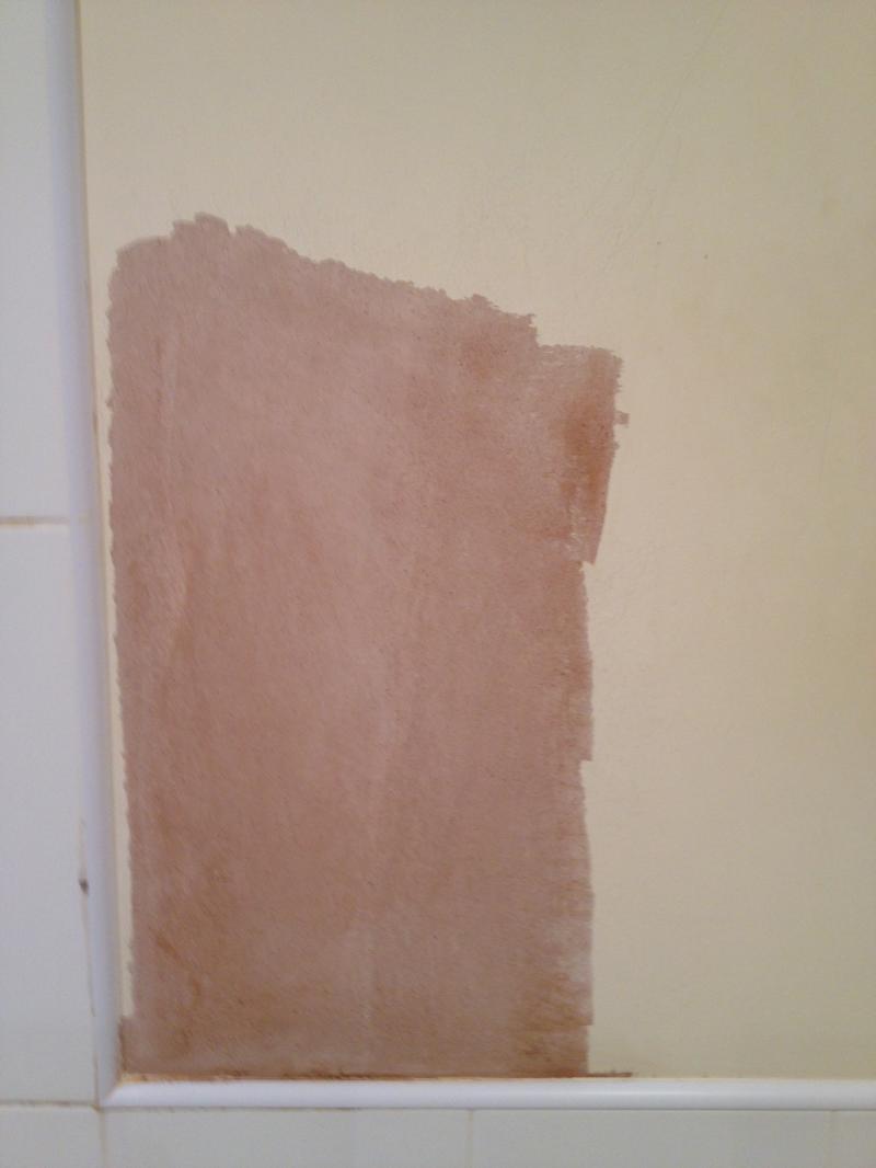 applying-wallpaper-paste-to-wall-carrotapp