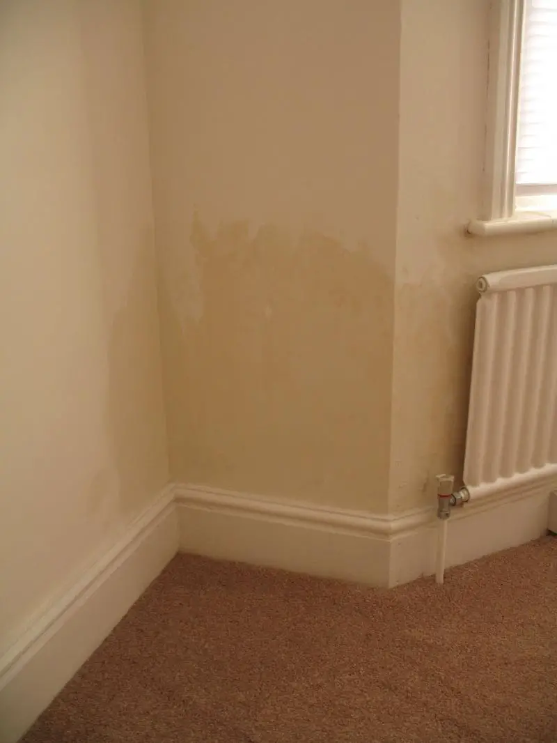 damp-wall-diynot-forums