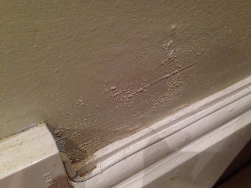 is-this-damp-or-condensation-diynot-forums