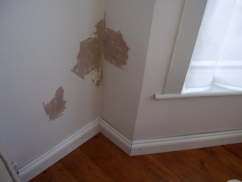 Weird Internal Damp Problem DIYnot Forums