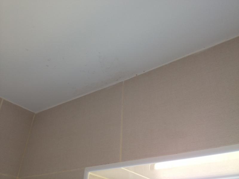 Best Way Of Repainting This Slightly Mouldy Ceiling Pics