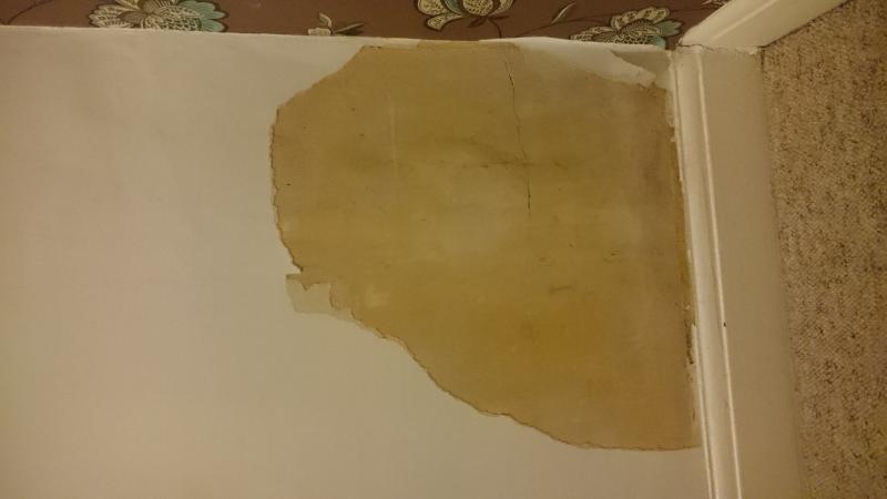 What Type Of Plaster Repair/damage Is This? | DIYnot Forums