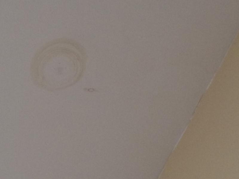 Damp Patch On Ceiling Of Newly Built Extension Diynot Forums